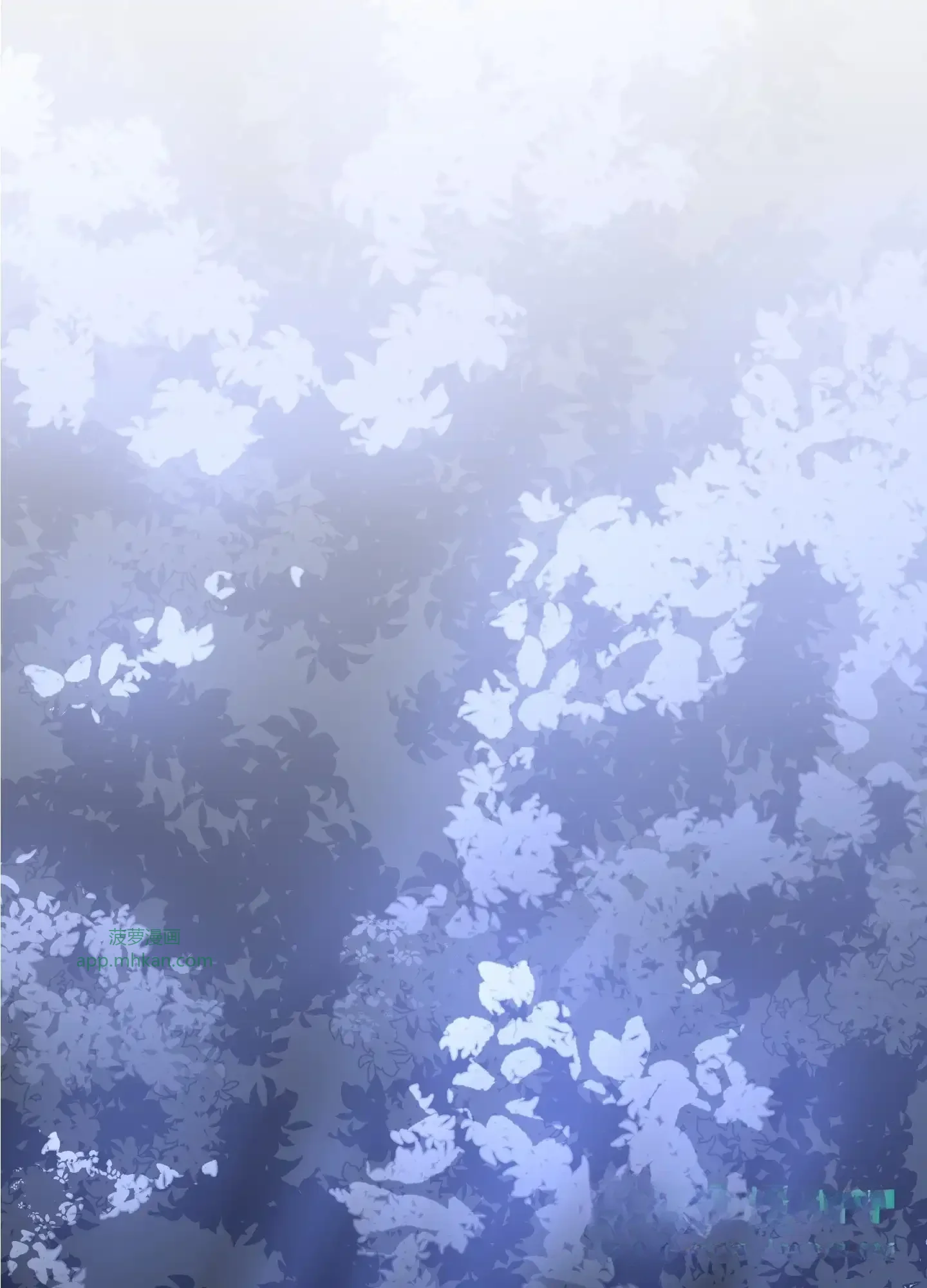 13 13 第46页