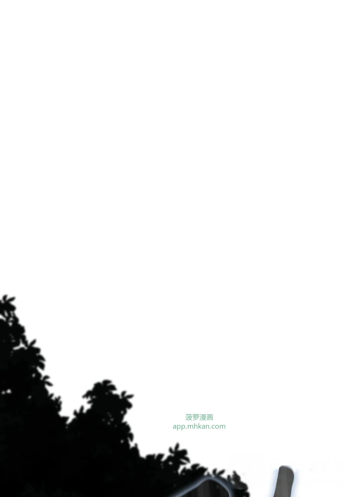 15 15 第11页