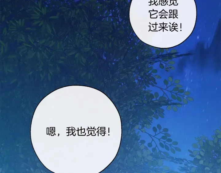 第20话 守护与拯救 第97页