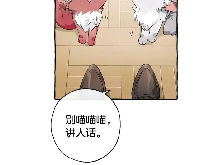 第12话 奇怪的传闻 第12页