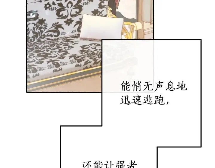 第66话 海岸线上的少爷 第141页