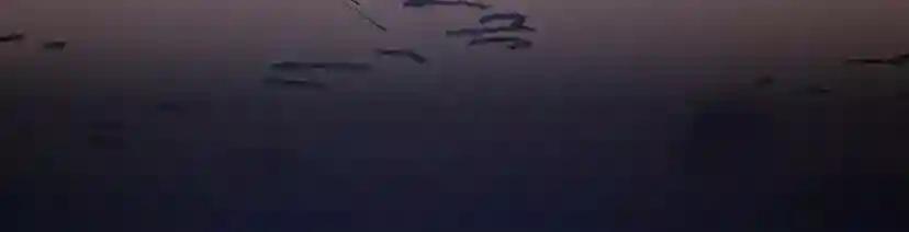 第5季第157话 恶魔水蛭 第103页