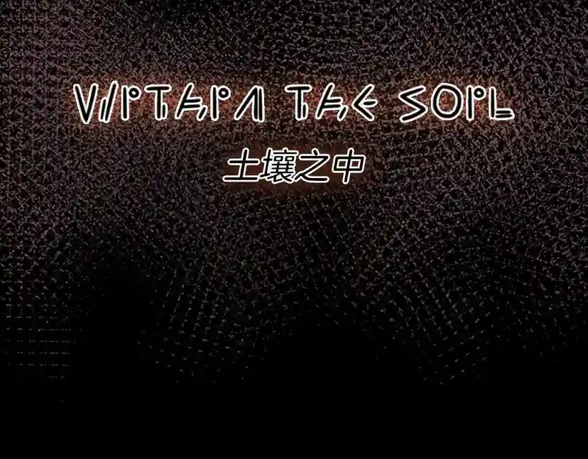 第3季第70话 石碧现身 第40页