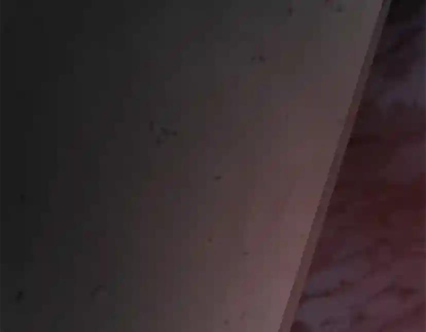 第5季第171话 深入 第184页