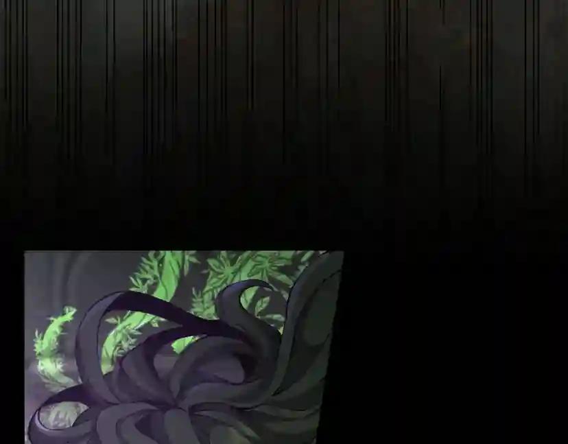 第5季第166话 战斗的决心 第244页