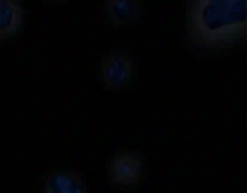 第4季第118话 巨型怪 第206页