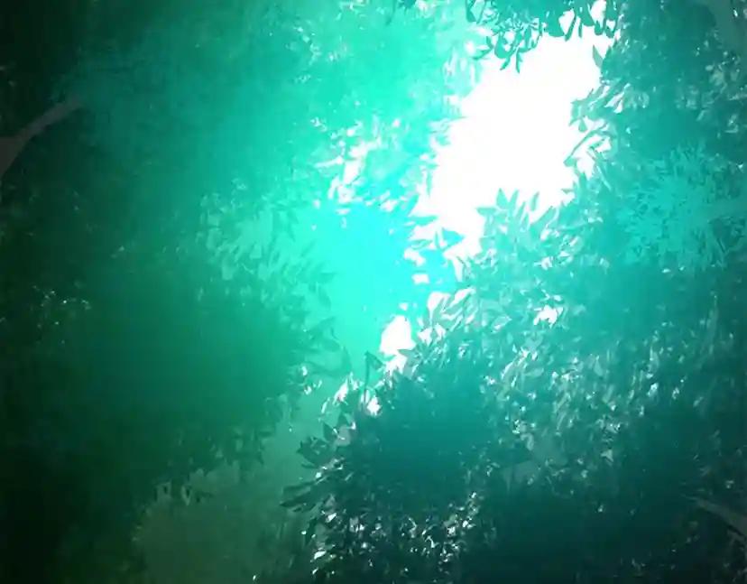 第5季第128话 同化的核心 第89页