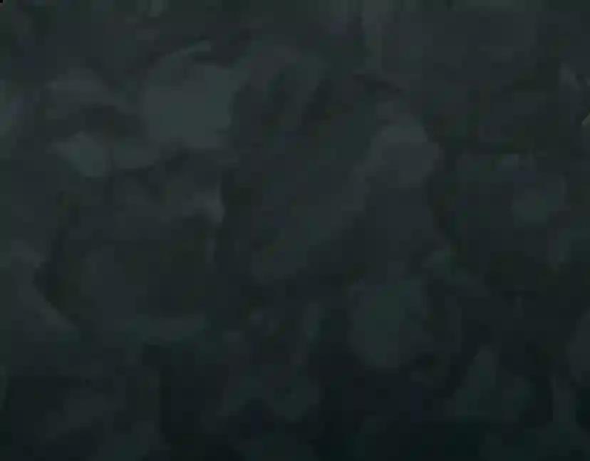 第1季第13话 石之碧亚 第1页