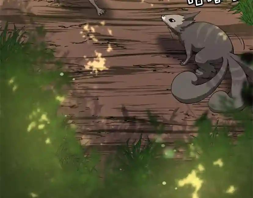 第5季第155话 领悟 第58页