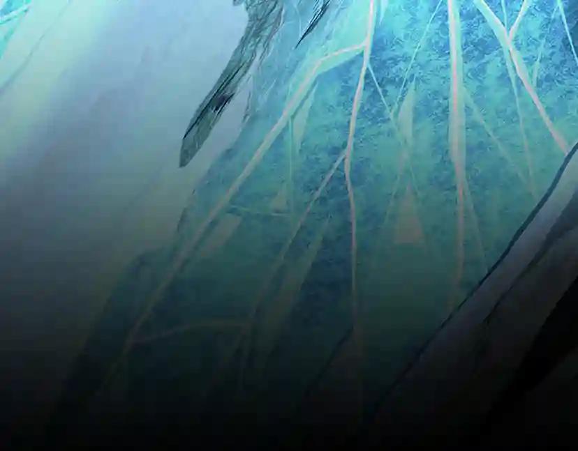第3季第67话 融合形态 第165页