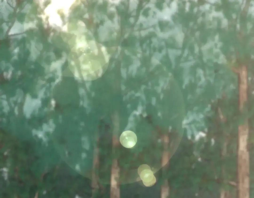 第7季228话 认清现实 第3页