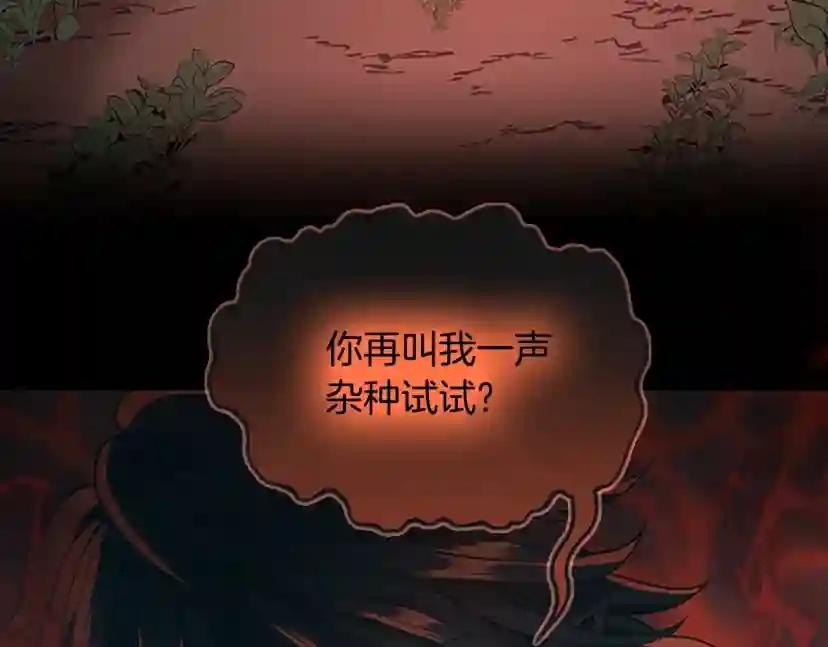 第5季第132话 一心向阳 第248页