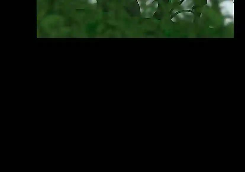 第3季第63话 荆棘之秘 第27页