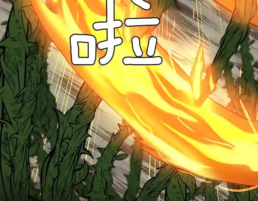 第3季第63话 荆棘之秘 第203页