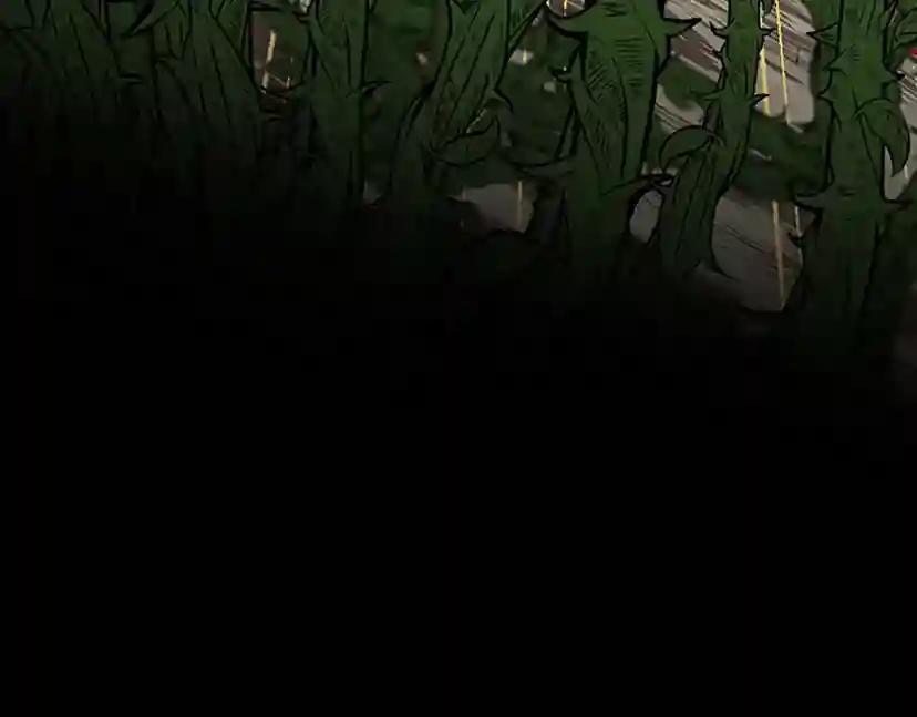 第3季第63话 荆棘之秘 第204页