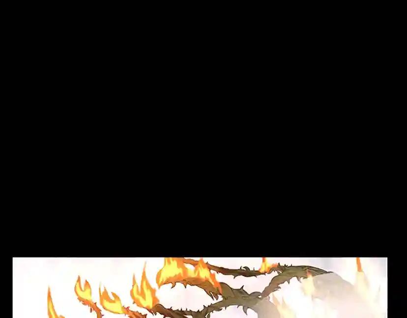第3季第63话 荆棘之秘 第206页