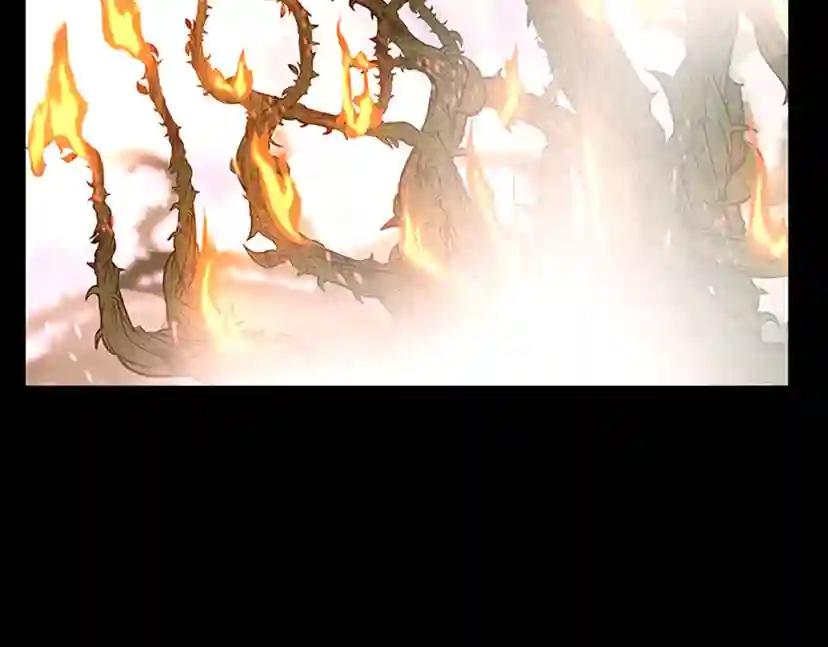 第3季第63话 荆棘之秘 第207页