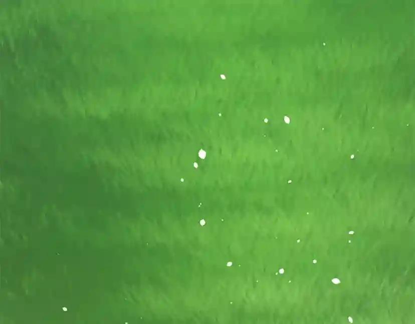 第5季第154话 新目标 第94页