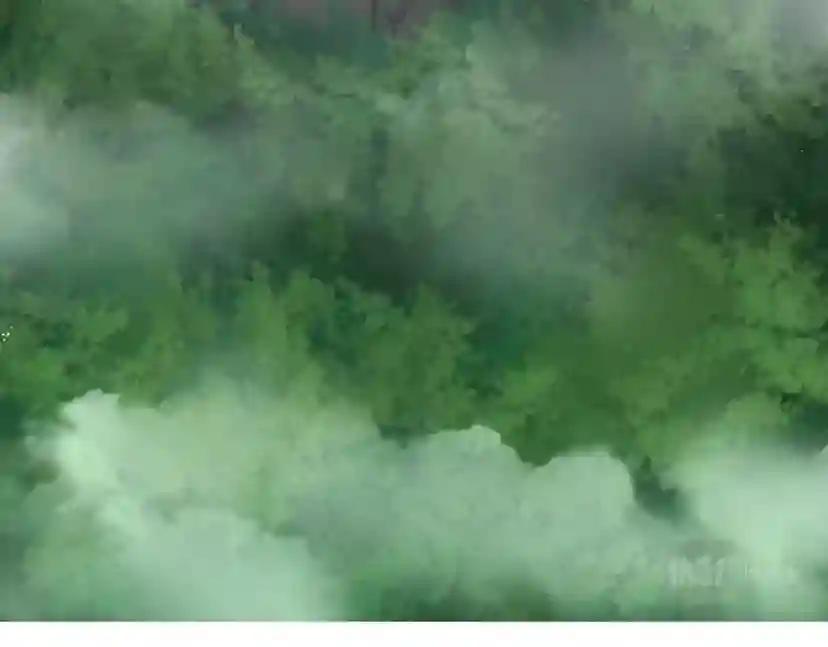 第5季第154话 新目标 第215页