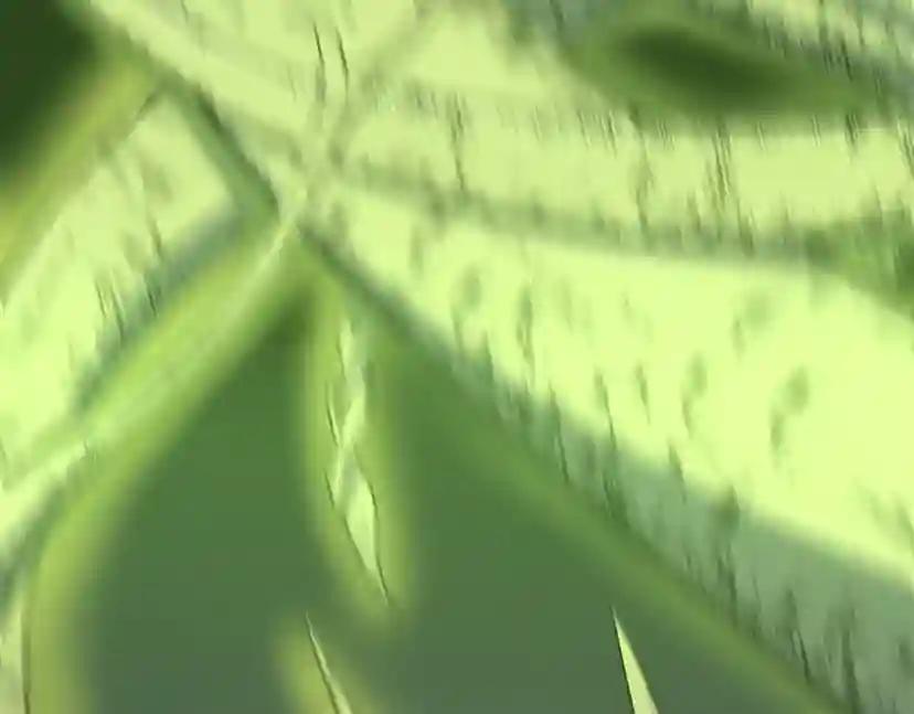 第4季第100话 舍身 第63页
