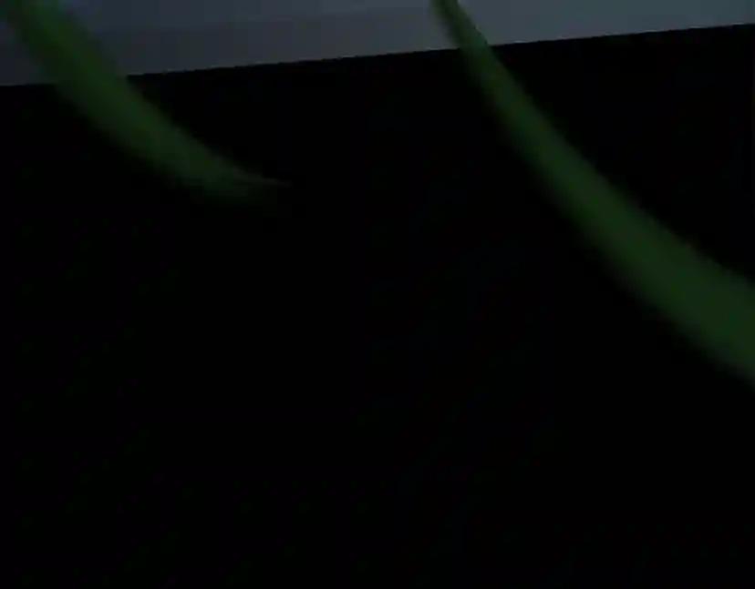 第152话 强度对练 第73页