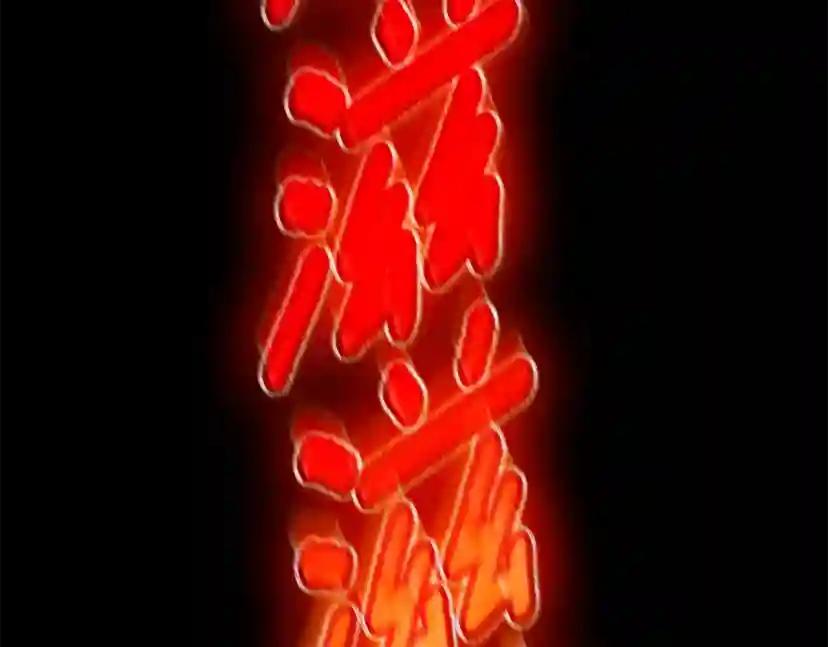 第5季第135话 最后的仪式 第199页