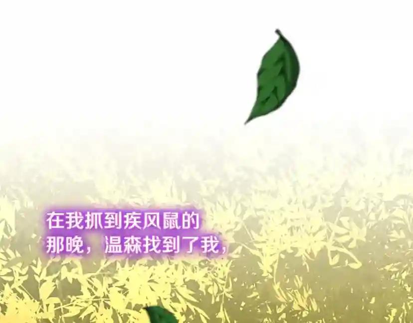 第5季第156话 银豹 第38页