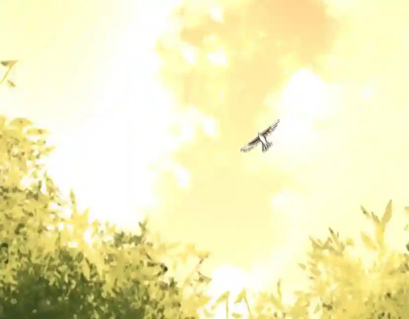 第5季第156话 银豹 第139页