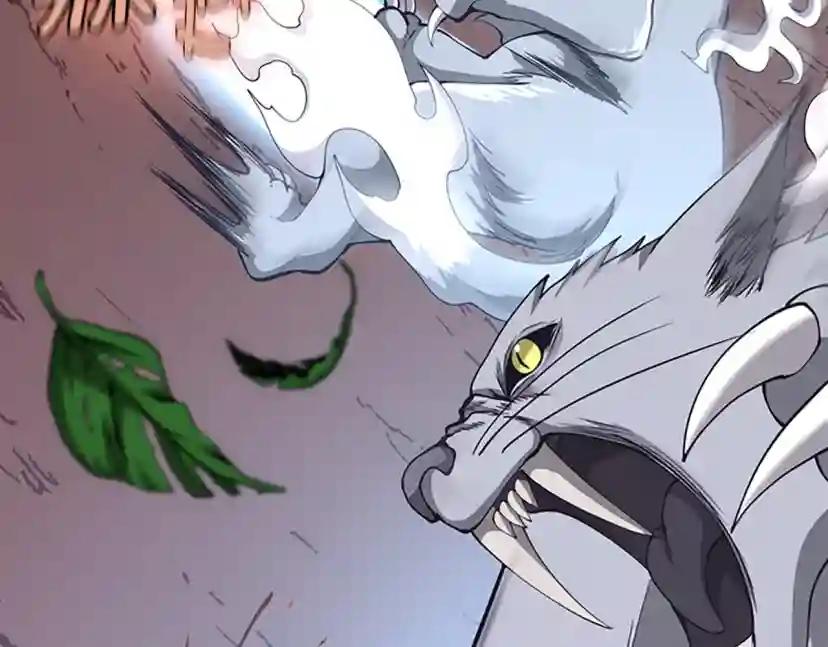 第5季第156话 银豹 第206页