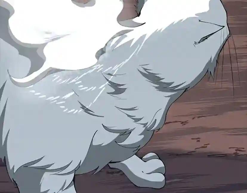 第5季第156话 银豹 第238页