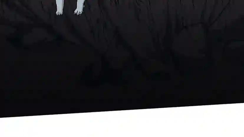第5季第156话 银豹 第260页