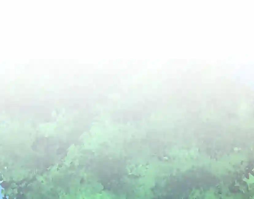 第2季第56话 两年之约 第27页