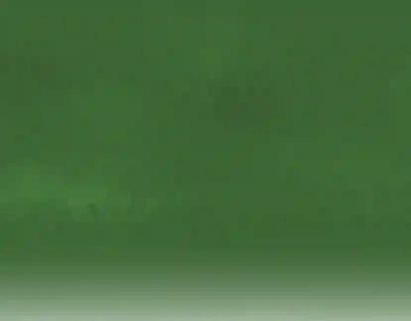 第2季第56话 两年之约 第55页