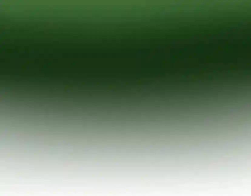 第2季第56话 两年之约 第218页