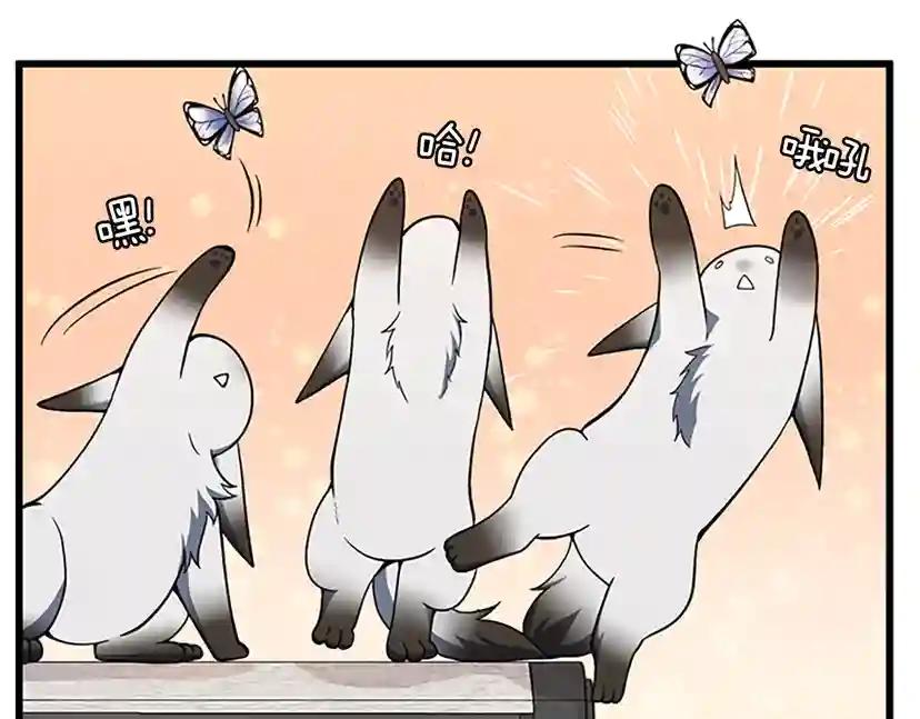 第4季第104话 课后话题 第165页