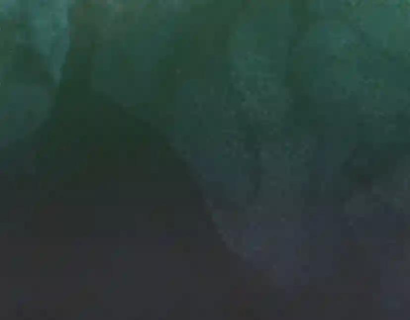 第3季第76话 神兽意志 第176页
