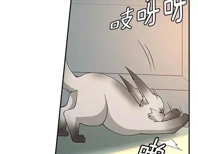 第5季第133话 大战在即 第112页
