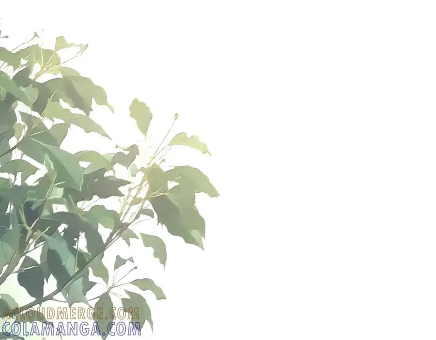 第747话 云家祖地 第17页
