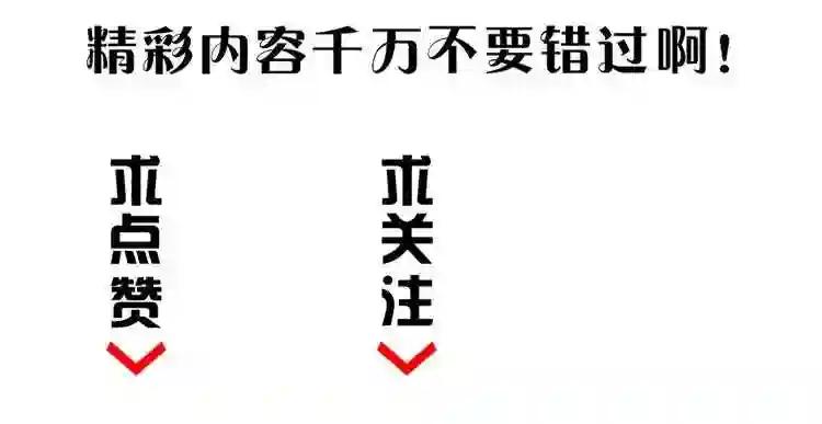 第1话 魔皇的重生 第219页