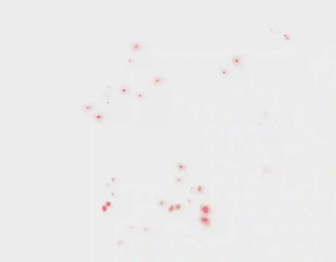 第280话 蓝焰 第141页