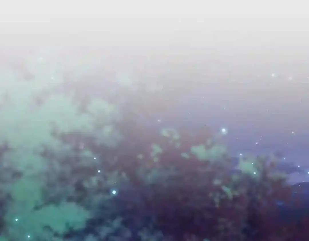 第204话 找你干嘛?找你鞭尸 第4页