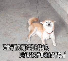 周刊28话 第19页