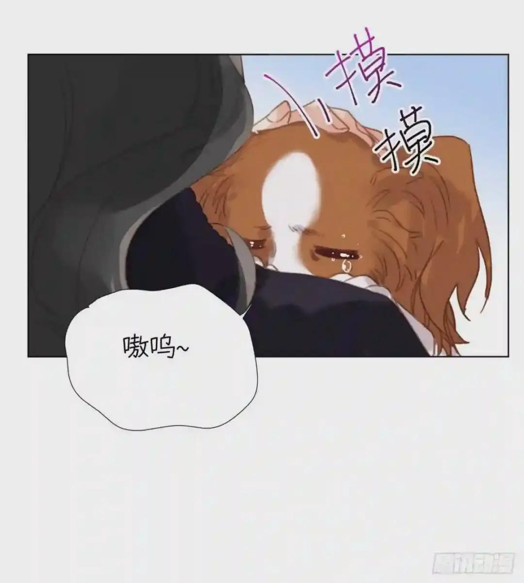 五子夺算·10 第56页