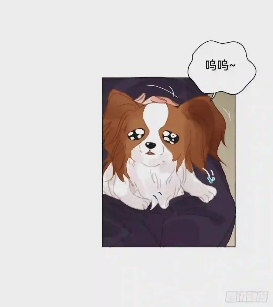 百卒戏傩·后编19 第9页