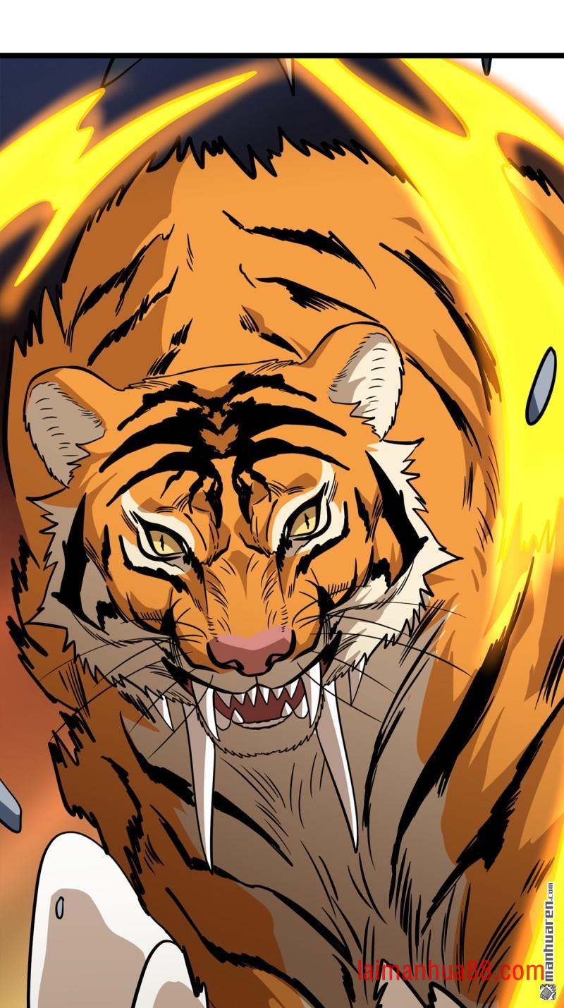 第540话 暴走猛虎 第1页