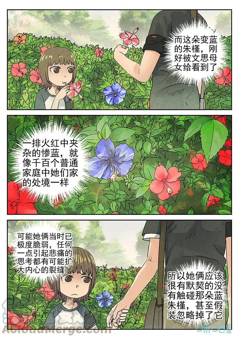第367话：凤梨酥与朱瑾花茶（四） 第7页