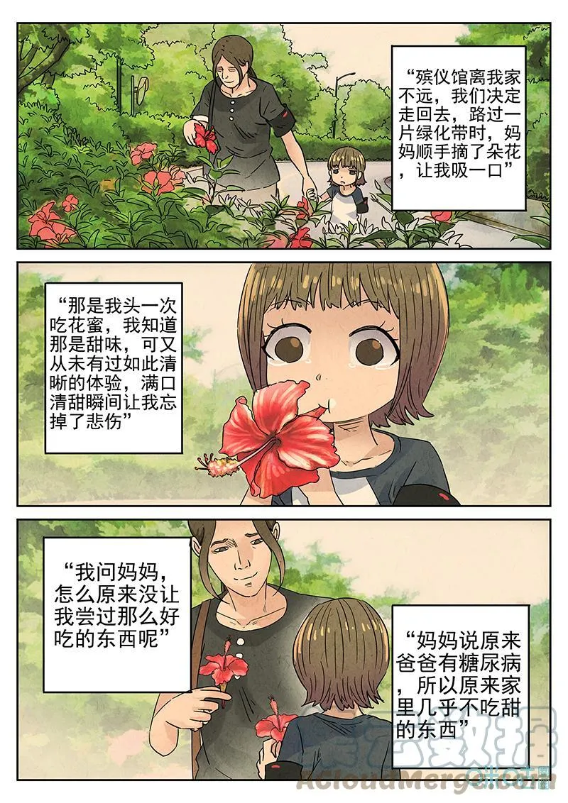 第366话：凤梨酥与朱瑾花茶（三） 第17页