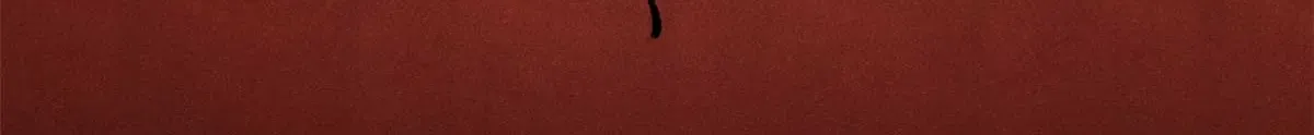288 钓鱼执法 第94页