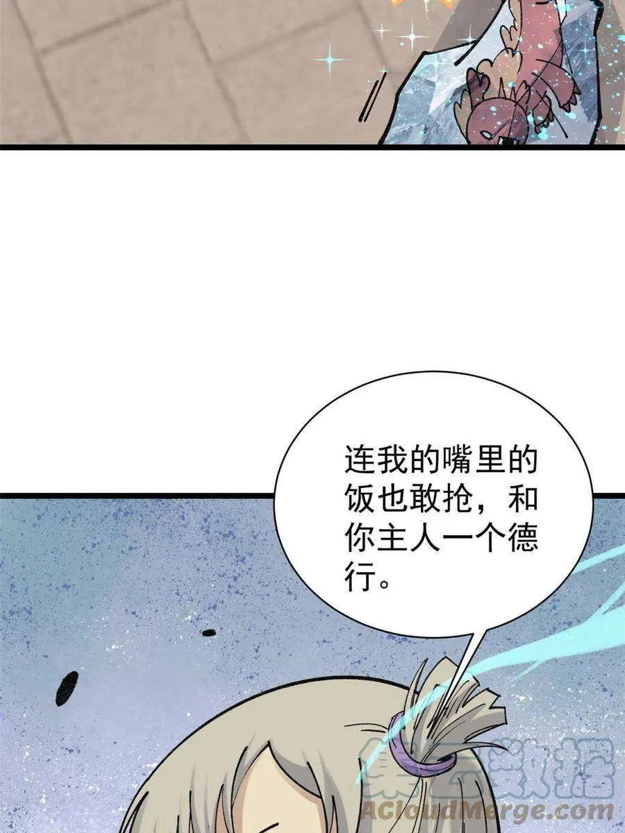 145 皮，特别皮 第43页