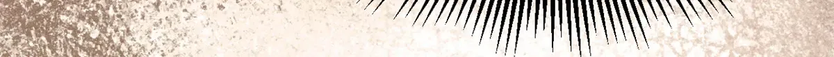 294 还是粉丝最伤人 第36页